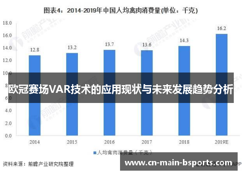 欧冠赛场VAR技术的应用现状与未来发展趋势分析