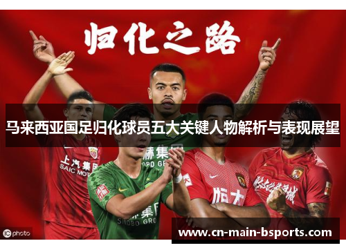 马来西亚国足归化球员五大关键人物解析与表现展望