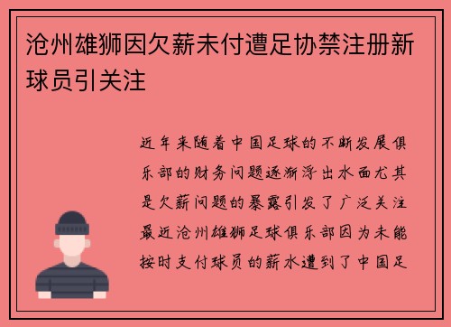 沧州雄狮因欠薪未付遭足协禁注册新球员引关注 沧州雄狮因欠薪未付遭足协禁注册新球员引关注
